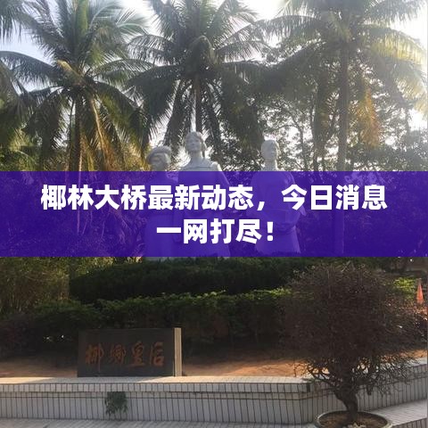 椰林大橋最新動(dòng)態(tài)，今日消息一網(wǎng)打盡！