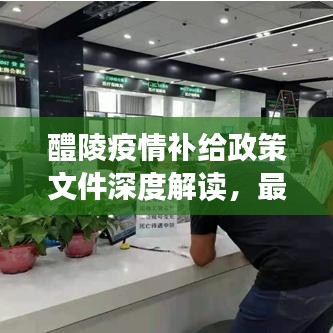 醴陵疫情補(bǔ)給政策文件深度解讀，最新動(dòng)態(tài)與要點(diǎn)解析