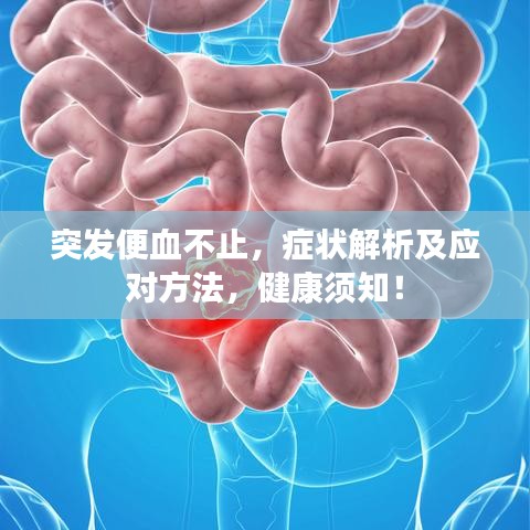突發(fā)便血不止，癥狀解析及應(yīng)對方法，健康須知！