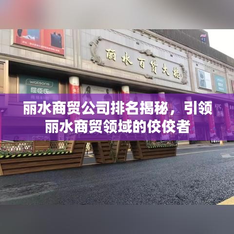 麗水商貿(mào)公司排名揭秘，引領(lǐng)麗水商貿(mào)領(lǐng)域的佼佼者