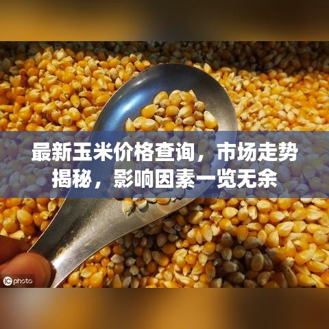 最新玉米價格查詢，市場走勢揭秘，影響因素一覽無余