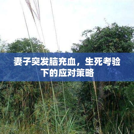 妻子突發(fā)腦充血，生死考驗下的應對策略