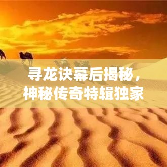 尋龍?jiān)E幕后揭秘，神秘傳奇特輯獨(dú)家呈現(xiàn)