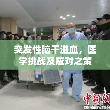 突發(fā)性腦干溢血，醫(yī)學(xué)挑戰(zhàn)及應(yīng)對(duì)之策