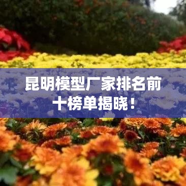 昆明模型廠家排名前十榜單揭曉！