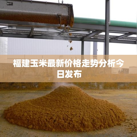 福建玉米最新價(jià)格走勢分析今日發(fā)布