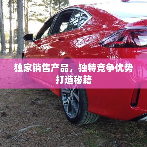 獨家銷售產(chǎn)品，獨特競爭優(yōu)勢打造秘籍