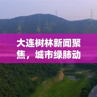 大連樹林新聞聚焦，城市綠肺動(dòng)態(tài)更新