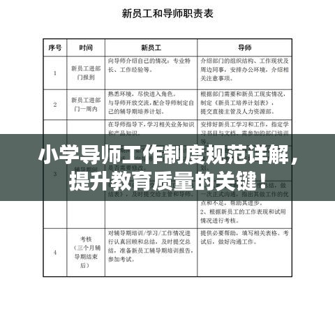 小學(xué)導(dǎo)師工作制度規(guī)范詳解，提升教育質(zhì)量的關(guān)鍵！