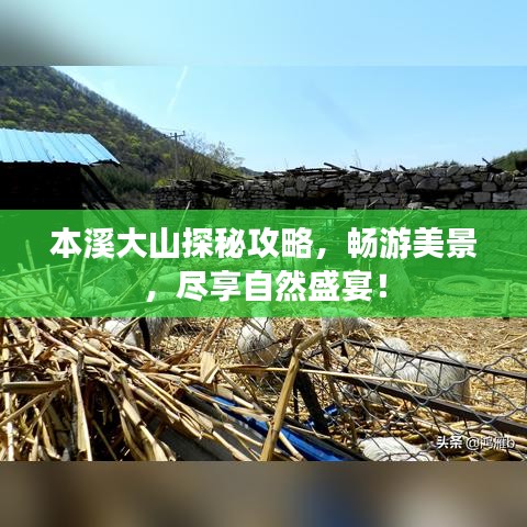 本溪大山探秘攻略，暢游美景，盡享自然盛宴！