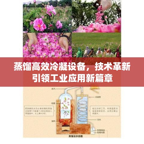 蒸餾高效冷凝設(shè)備，技術(shù)革新引領(lǐng)工業(yè)應(yīng)用新篇章