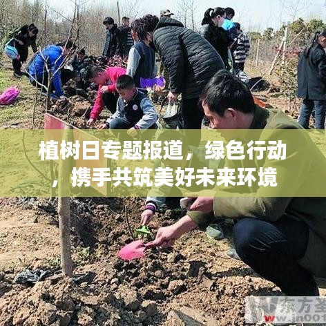 植樹日專題報道，綠色行動，攜手共筑美好未來環(huán)境