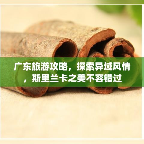 廣東旅游攻略，探索異域風(fēng)情，斯里蘭卡之美不容錯(cuò)過(guò)