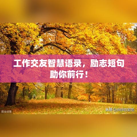 工作交友智慧語錄，勵(lì)志短句助你前行！