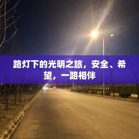 路燈下的光明之旅，安全、希望，一路相伴