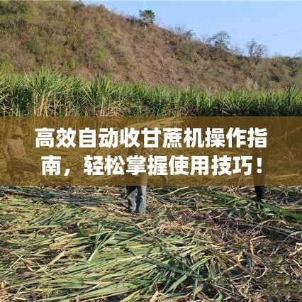 高效自動收甘蔗機操作指南，輕松掌握使用技巧！
