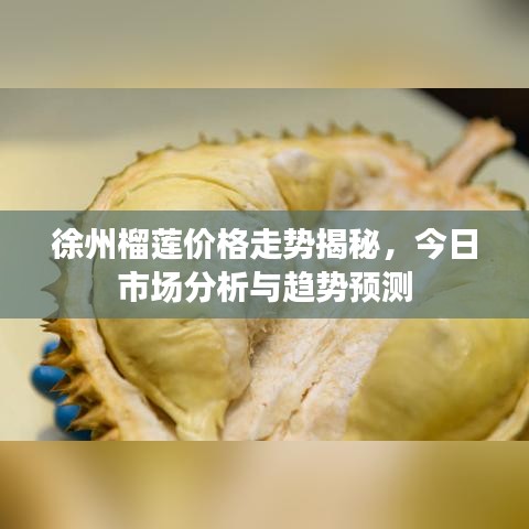 徐州榴蓮價(jià)格走勢(shì)揭秘，今日市場(chǎng)分析與趨勢(shì)預(yù)測(cè)