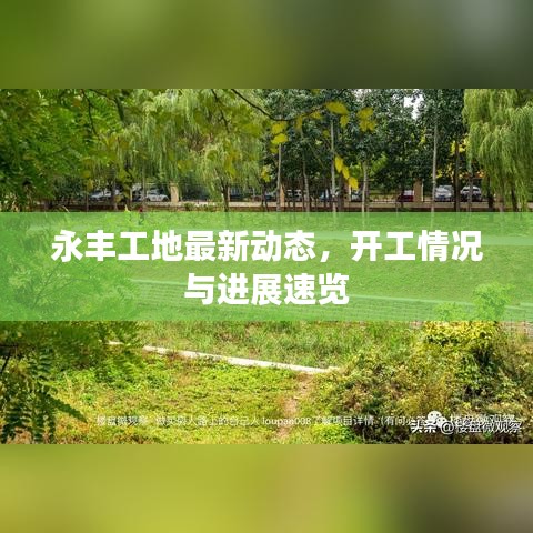 永豐工地最新動態(tài)，開工情況與進展速覽