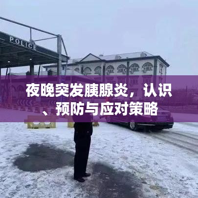 夜晚突發(fā)胰腺炎，認識、預防與應對策略