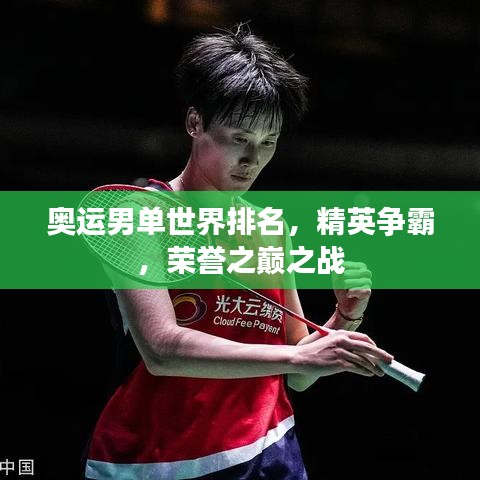 奧運(yùn)男單世界排名，精英爭(zhēng)霸，榮譽(yù)之巔之戰(zhàn)