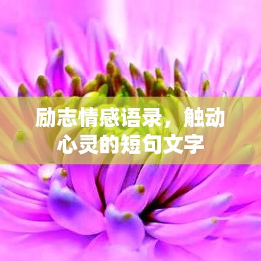 勵志情感語錄，觸動心靈的短句文字