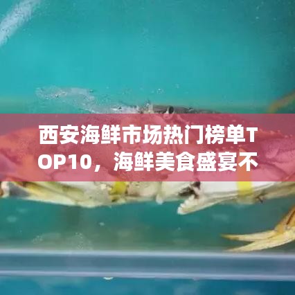 西安海鮮市場(chǎng)熱門(mén)榜單TOP10，海鮮美食盛宴不容錯(cuò)過(guò)！