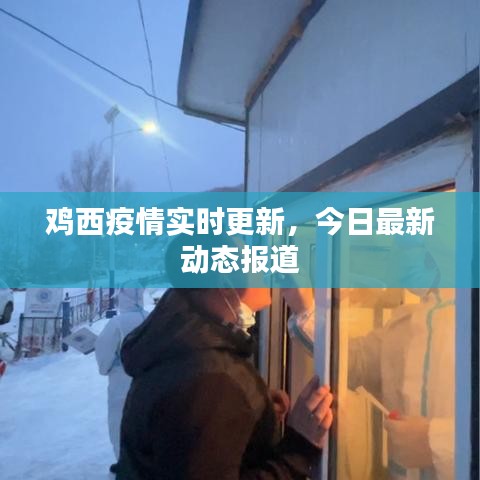 雞西疫情實時更新，今日最新動態(tài)報道