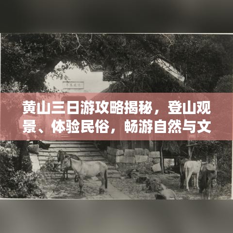 黃山三日游攻略揭秘，登山觀景、體驗(yàn)民俗，暢游自然與文化的盛宴！