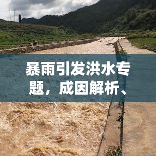 暴雨引發(fā)洪水專題，成因解析、影響評估與應(yīng)對策略