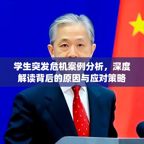 學生突發(fā)危機案例分析，深度解讀背后的原因與應對策略