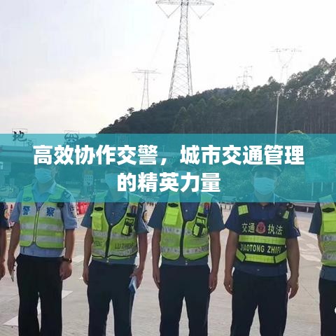 高效協(xié)作交警，城市交通管理的精英力量