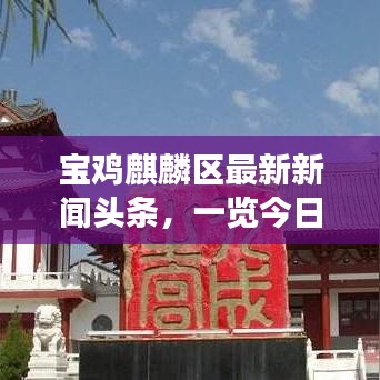 寶雞麒麟?yún)^(qū)最新新聞頭條，一覽今日熱點事件