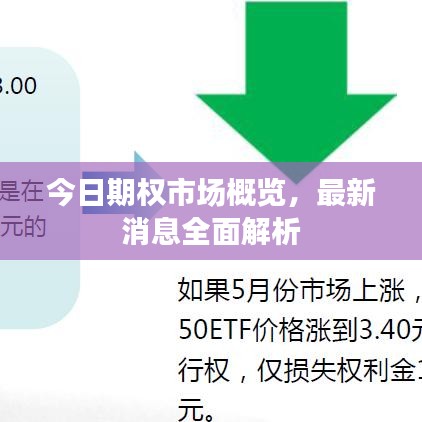 今日期權(quán)市場概覽，最新消息全面解析