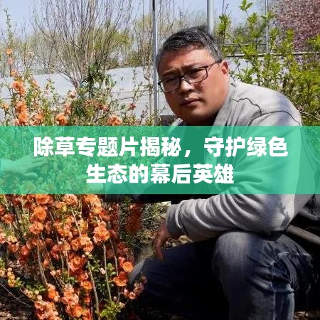 除草專題片揭秘，守護(hù)綠色生態(tài)的幕后英雄