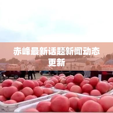 風(fēng)度翩翩 第2頁