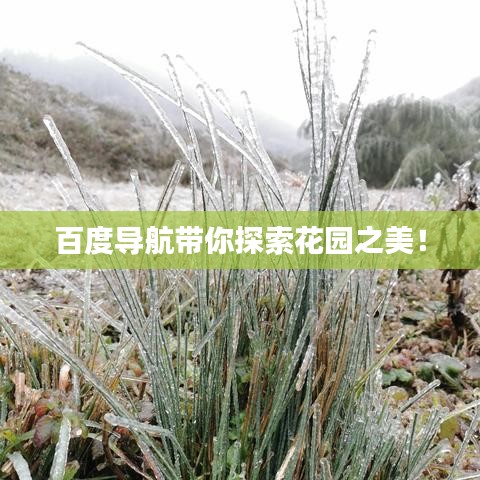 百度導(dǎo)航帶你探索花園之美！