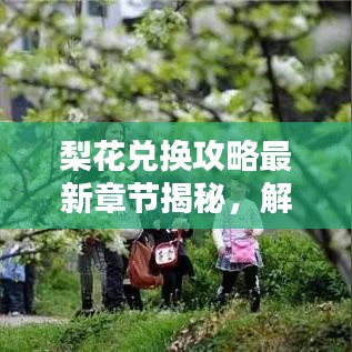 梨花兌換攻略最新章節(jié)揭秘，解鎖虛擬世界財富之門