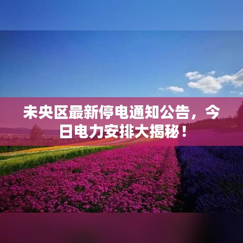 未央?yún)^(qū)最新停電通知公告，今日電力安排大揭秘！