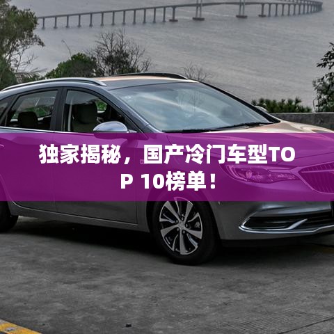 獨家揭秘，國產(chǎn)冷門車型TOP 10榜單！