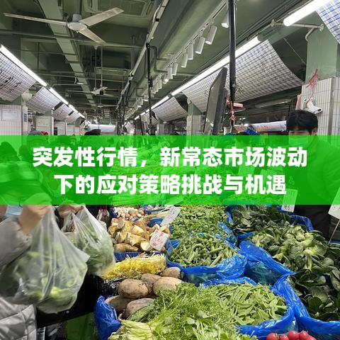 就事論事 第2頁(yè)