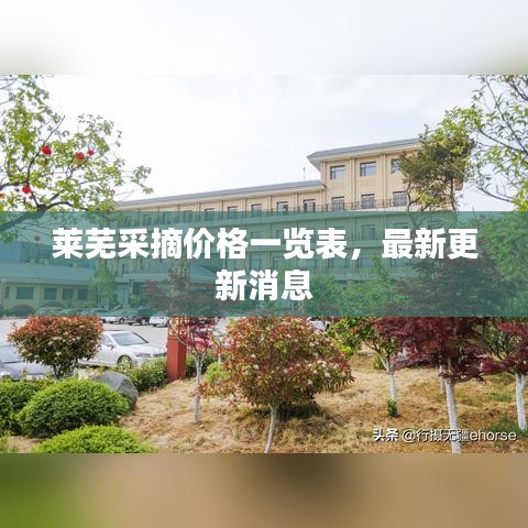 萊蕪采摘價(jià)格一覽表，最新更新消息