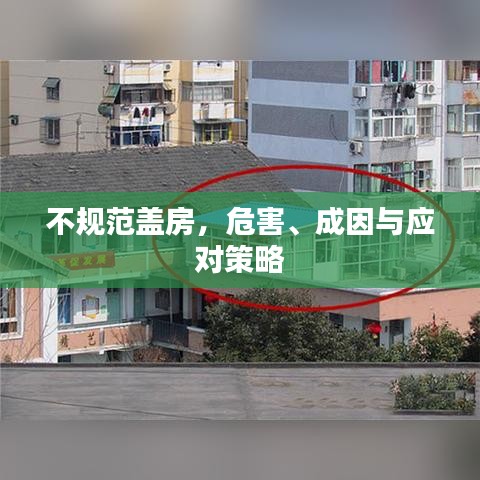 狗尾續(xù)貂 第2頁