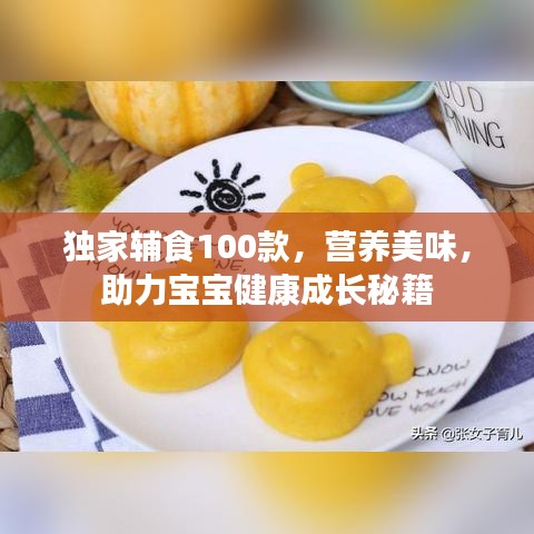 獨(dú)家輔食100款，營養(yǎng)美味，助力寶寶健康成長秘籍