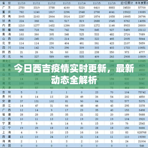 今日西吉疫情實(shí)時更新，最新動態(tài)全解析
