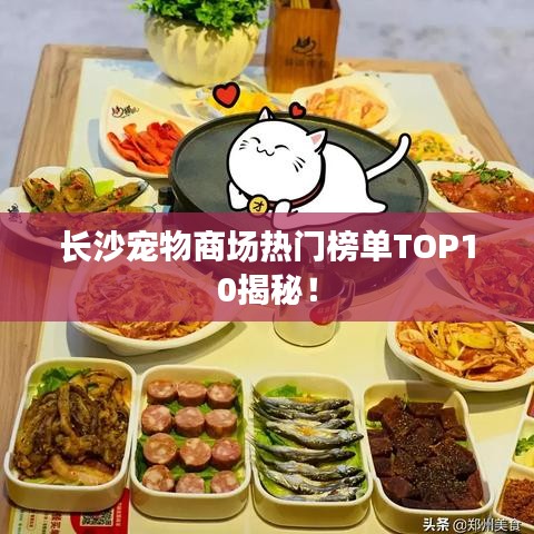 長沙寵物商場熱門榜單TOP10揭秘！