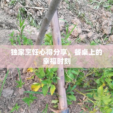 獨家烹飪心得分享，餐桌上的幸福時刻