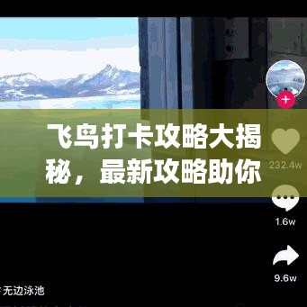 飛鳥打卡攻略大揭秘，最新攻略助你暢游天際！