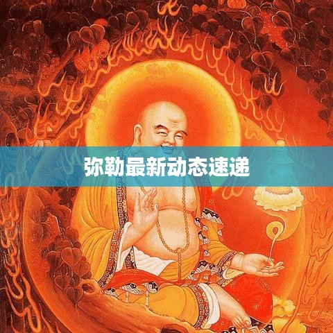 氣囊 第33頁