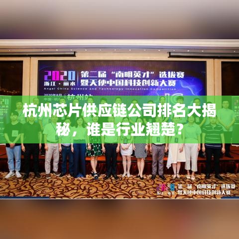 杭州芯片供應(yīng)鏈公司排名大揭秘，誰是行業(yè)翹楚？
