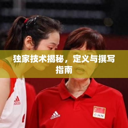 獨(dú)家技術(shù)揭秘，定義與撰寫指南